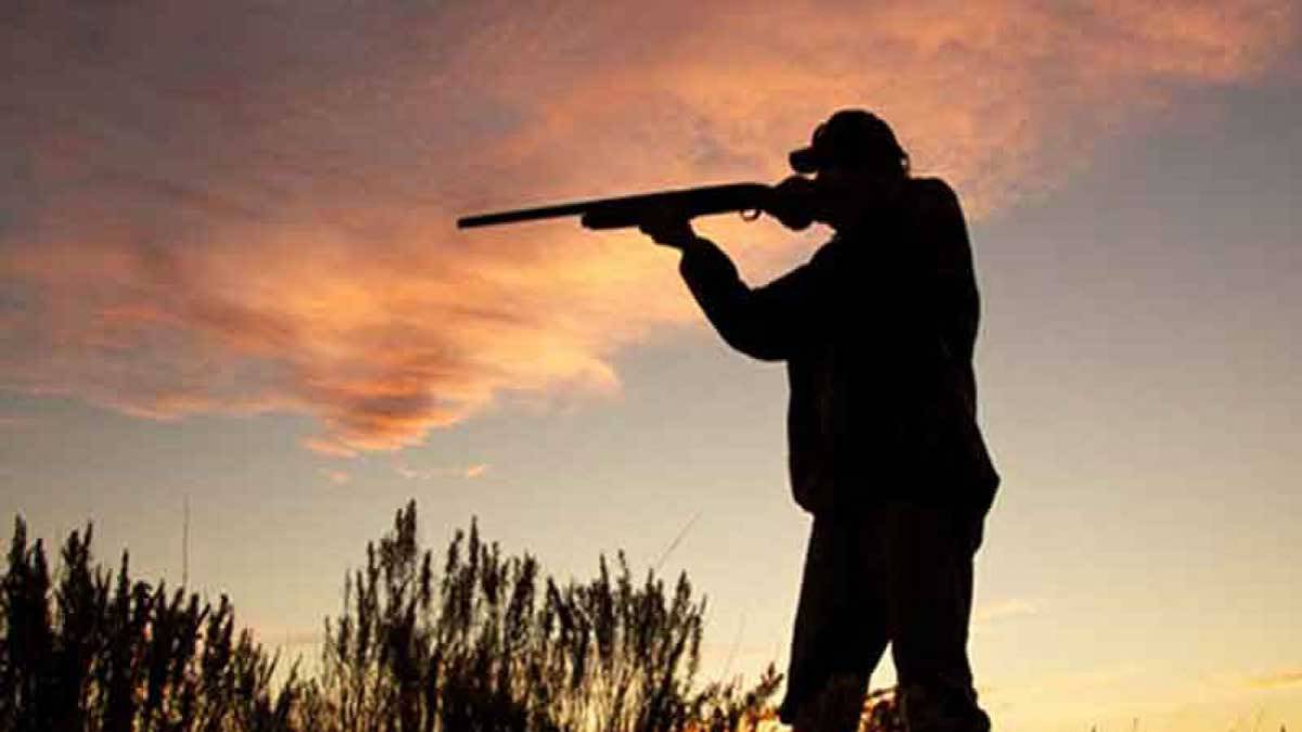 Caza del Tordo en Lleida - Zorzal - Perdiz