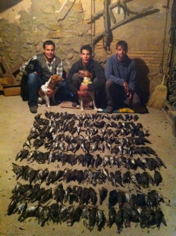 Caza del Tordo en Lleida - Zorzal - Perdiz